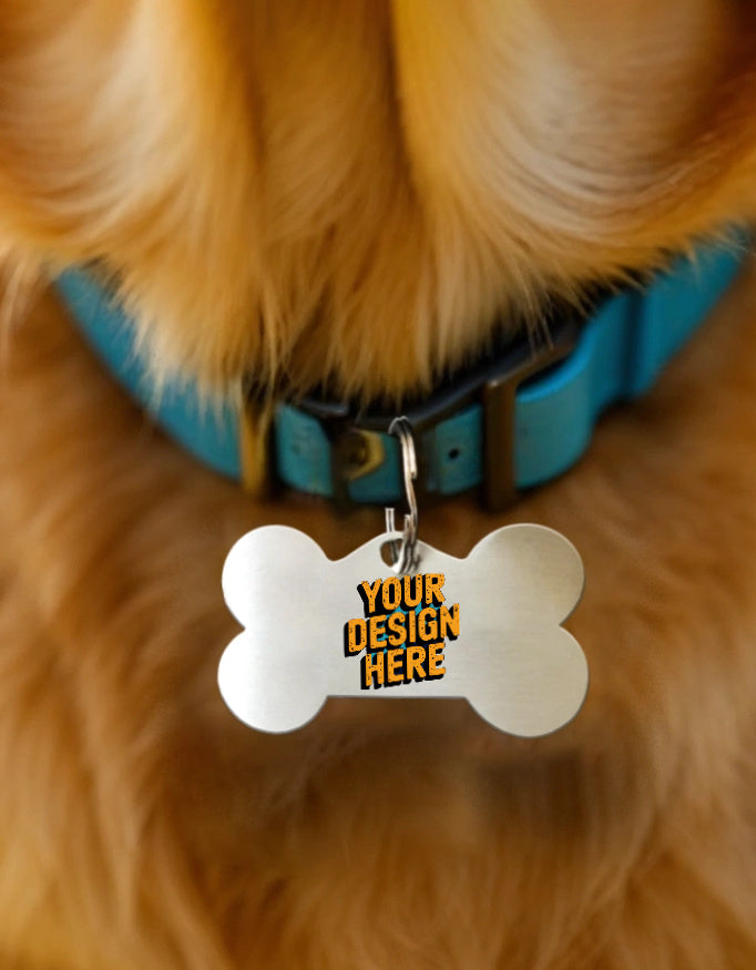 Pet collar tag bone
