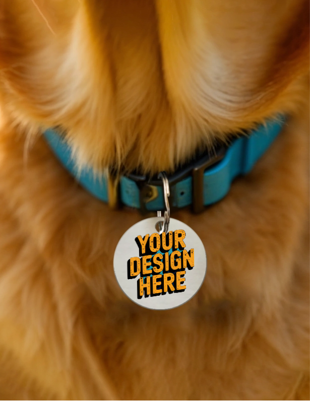 Dog collar with a customizable pet tag on a fluffy dog.