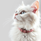 Custom Engraved Stainless Steel Pet Tags – Durable, Stylish & Safe for Your Pets - Armbh