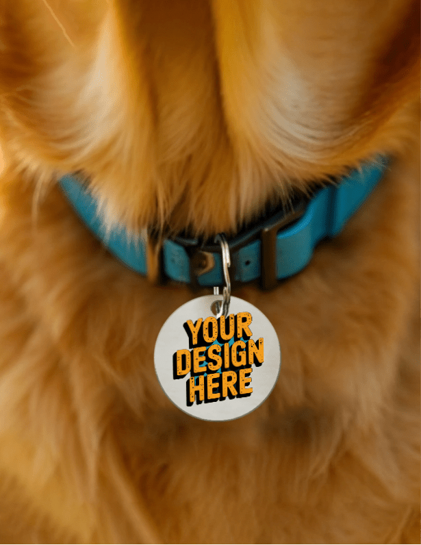 Custom Engraved Stainless Steel Pet Tags – Durable, Stylish & Safe for Your Pets - Armbh